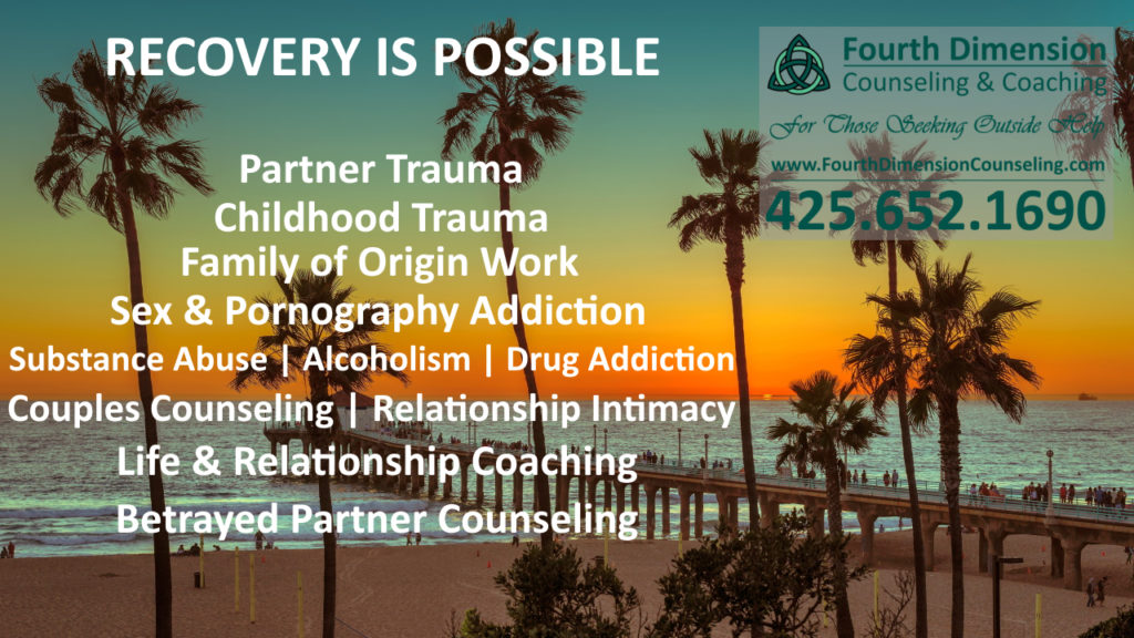 Los Angeles California Redondo Beach counseling trauma therapy substance abuse recovery