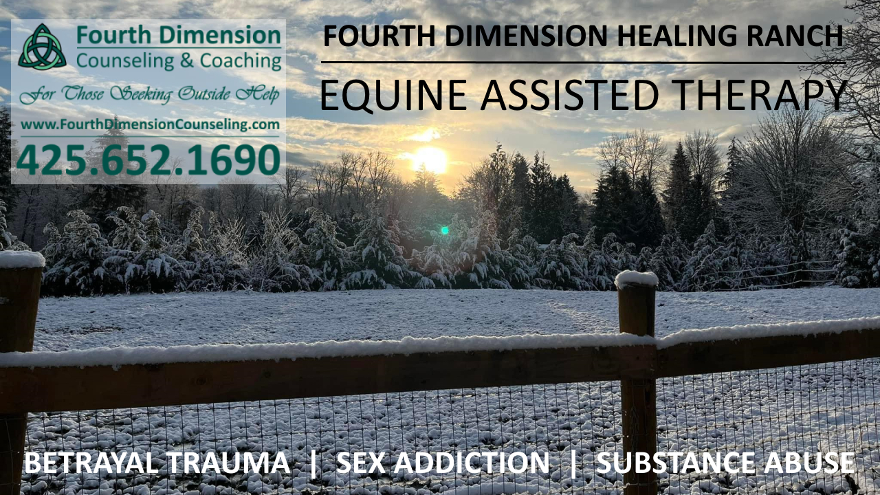 Equine Assisted Therapy at Fourth Dimension Healing Ranch