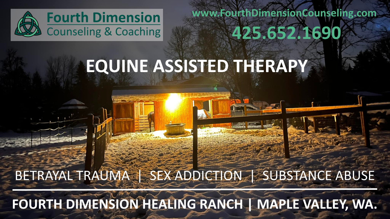 Equine Assisted Therapy at Fourth Dimension Healing Ranch