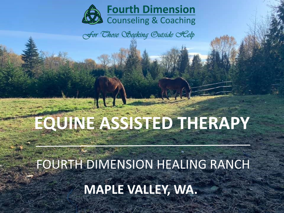 Equine Assisted Therapy for betrayal trauma, sex addiction, substance abuse at Fourth Dimension Healing Ranch in Maple Valley, WA.