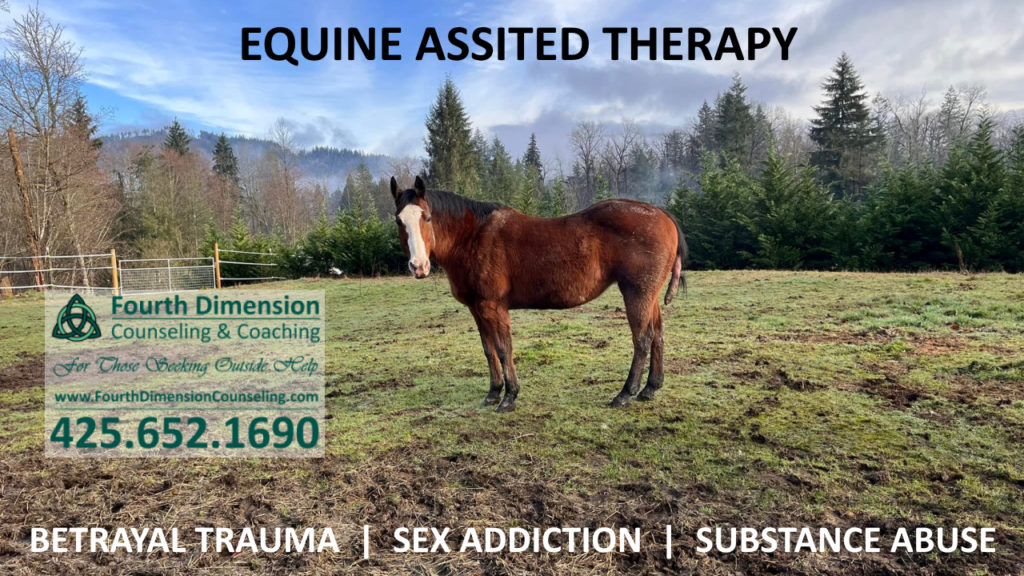 Equine Assisted Therapy for betrayal trauma, sex addiction, substance abuse at Fourth Dimension Healing Ranch in Maple Valley, WA.