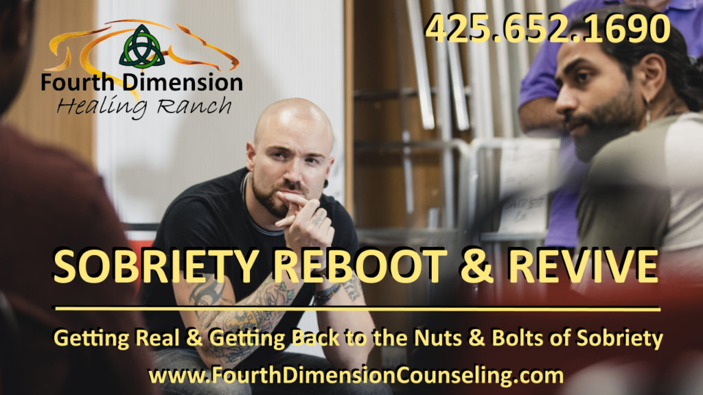 Sobriety Reboot - Revive and Refresh Sex Addiction Sexual Sobriety Intensive Retreats For Men at Fourth Dimension Healing Ranch in Maple Valley Washington