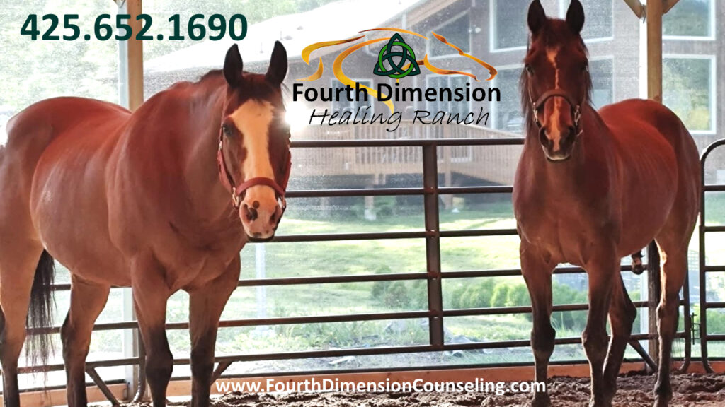 Horses and Equine Assisted Therapy at Fourth Dimension Healing Ranch in Maple Valley Washington