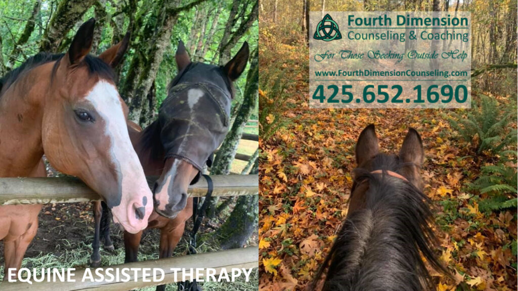 Equine Assisted Therapy at Fourth Dimension Healing Ranch Serving Clients From Edmonds Washington Washington