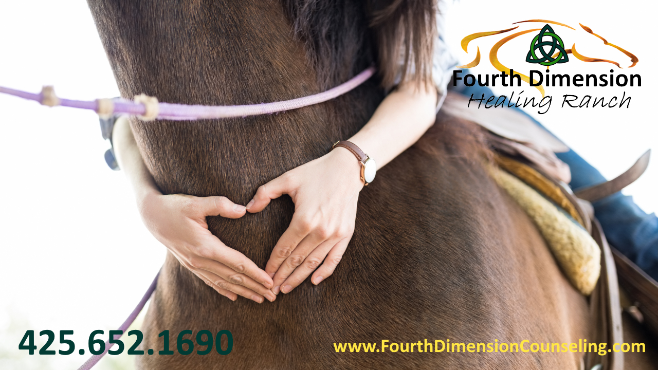 Equine Therapy at Fourth Dimension Healing Ranch