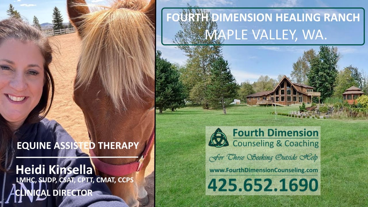 Equine Assisted Therapy For Those Impacted by Sexual Compulsivity Betrayal Trauma Sex Addiction