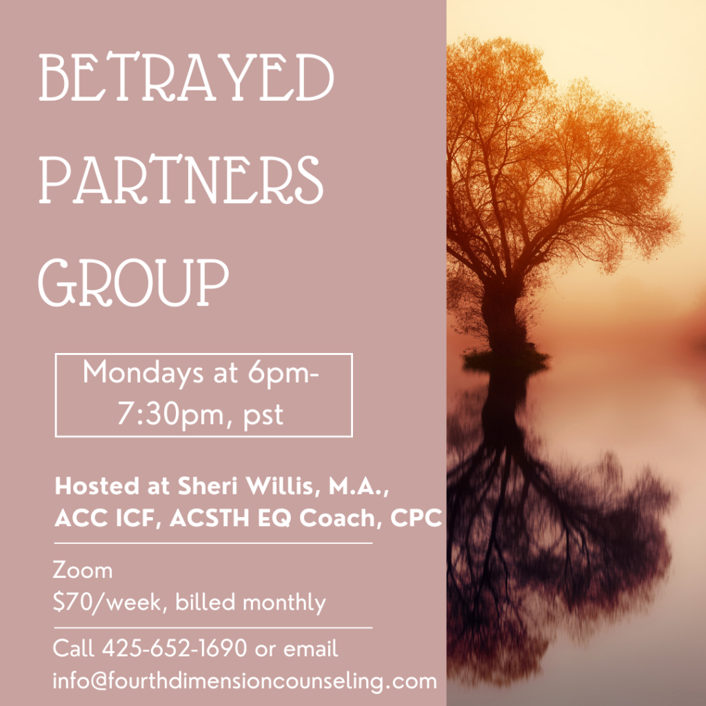 Betrayed Partner and Betrayal Trauma Coaching Support Group