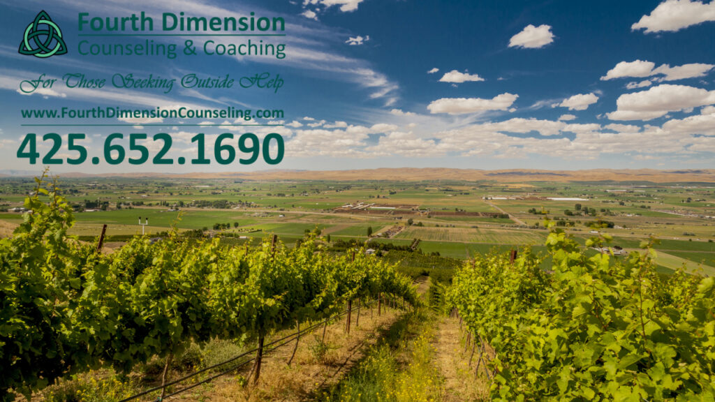 Omak Washington Grape Orchards overlooking the Omak and Okanogan Valley in North Central Washington