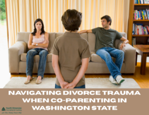 Navigating Divorce Trauma When Co-Parenting in Washington State