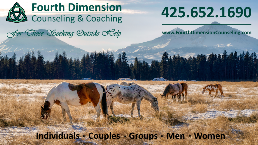 Bend, Oregon Sex and Porn Addiction Counseling, Betrayed Partner, Infidelity and Betrayal Trauma Therapy, Addiction and Substance Abuse Treatment and Recovery Counseling